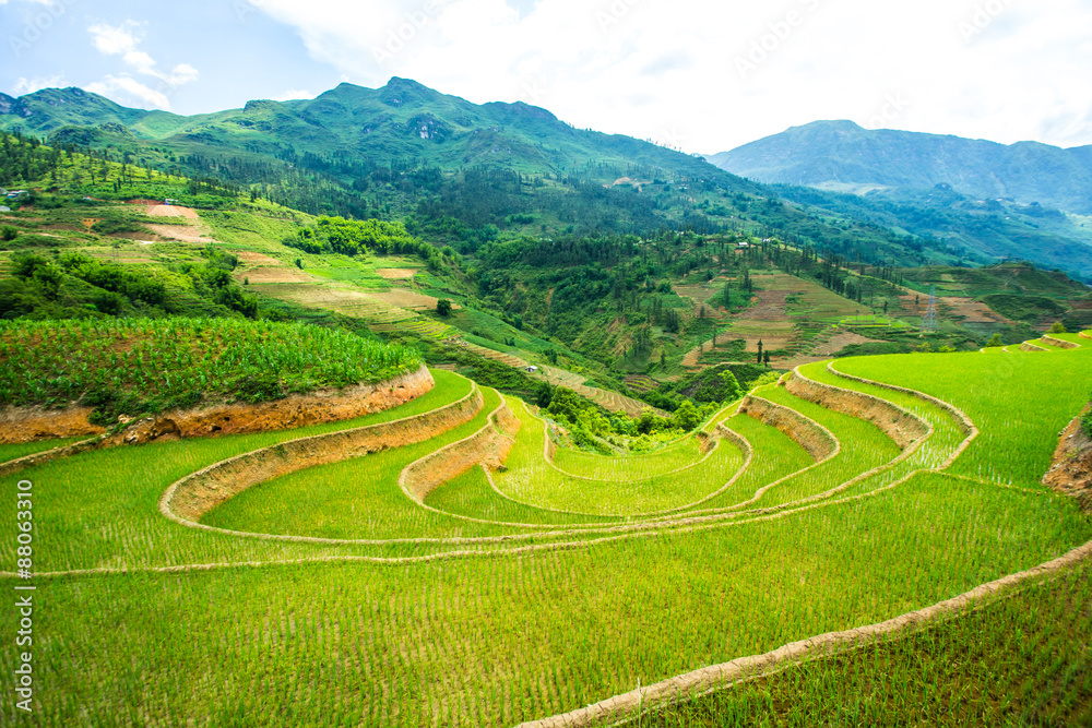 Fototapeta premium Valley among the rice terraces.