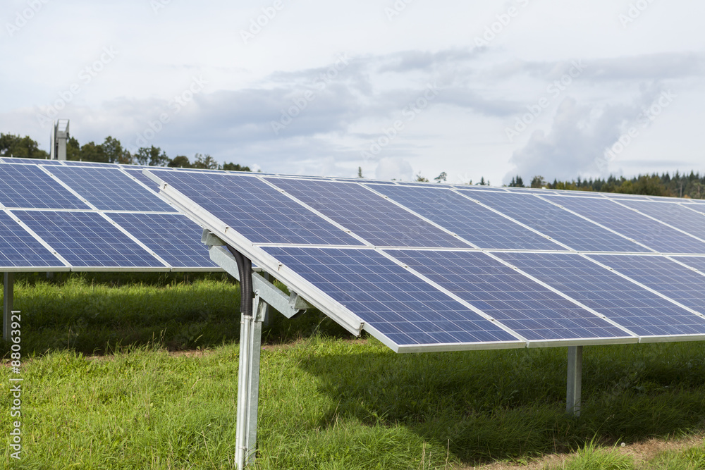 Field with blue siliciom solar cells alternative energy Field with blue siliciom solar cells alternative energy