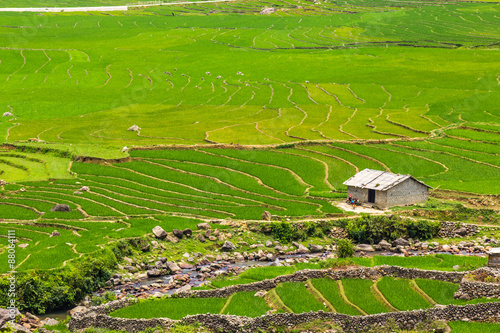 Fotografía Valley among the rice terraces.