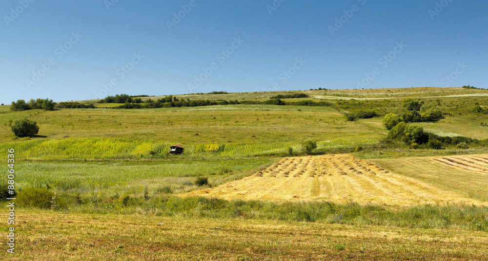 Rural scenic landscape
