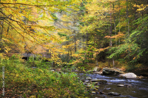 Bridge over a Stream in the Fall