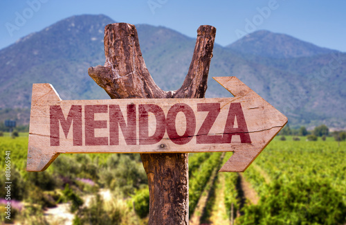 Mendoza wooden sign with winery background photo