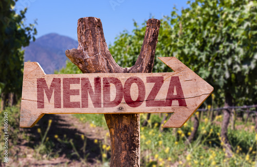 Mendoza wooden sign with winery background © gustavofrazao