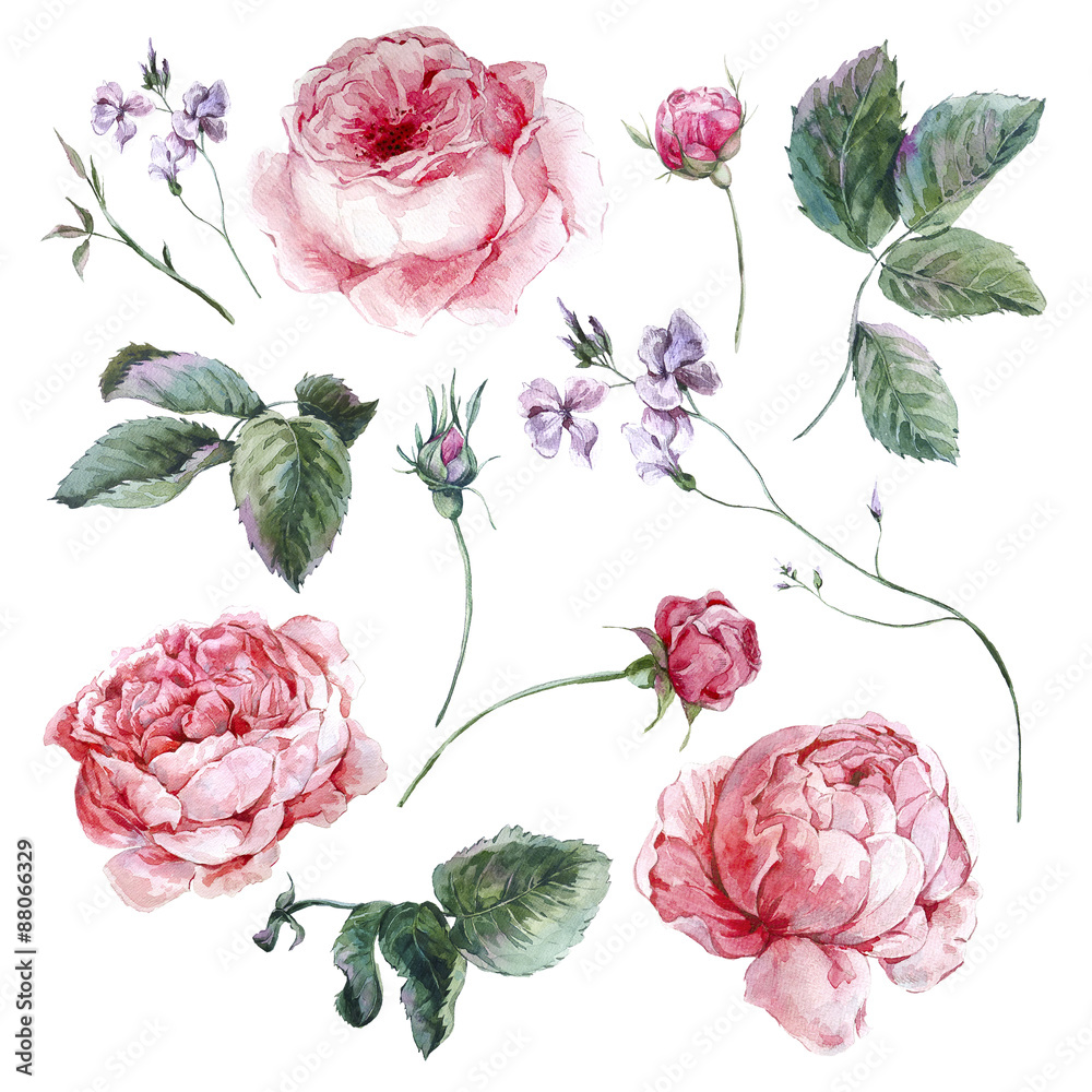 Fototapeta premium Set vintage watercolor bouquet of roses leaves branches flowers