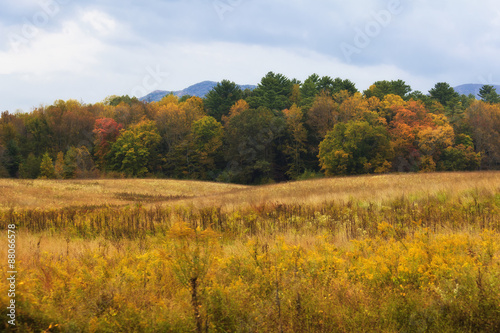 Field and Mountains in the Fall