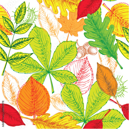 autumn leaves pattern