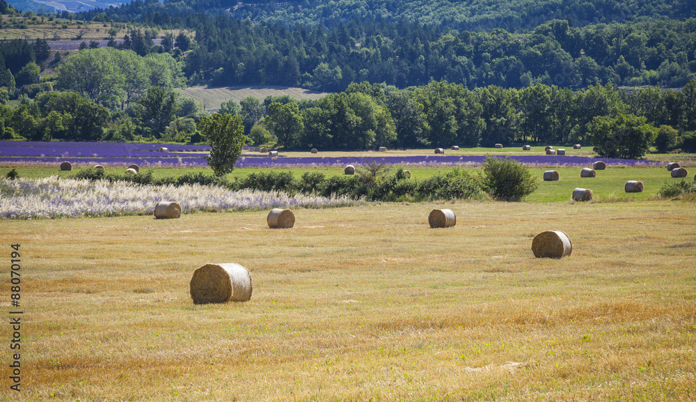 Straw bales on a field in Provence, France
