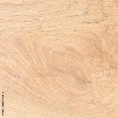 Annual ring of Wood laminate texture and background.