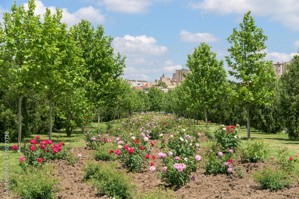 The Public Park Izvor In Bucharest Was Built In 1985 And Is Located Right Next To The Parliament Palace (Casa Poporului).