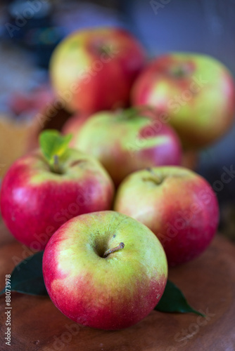 harvest of apples