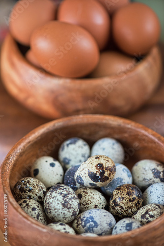 Fresh eggs