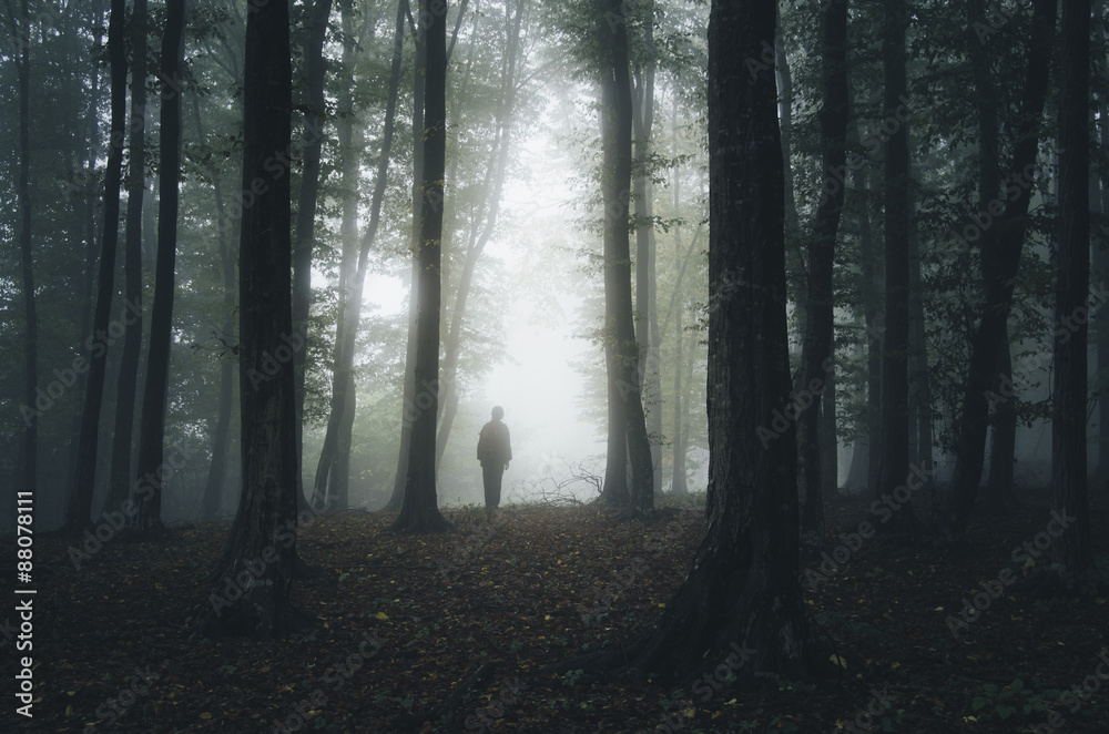 Obraz premium scary forest with mysterious man silhouette