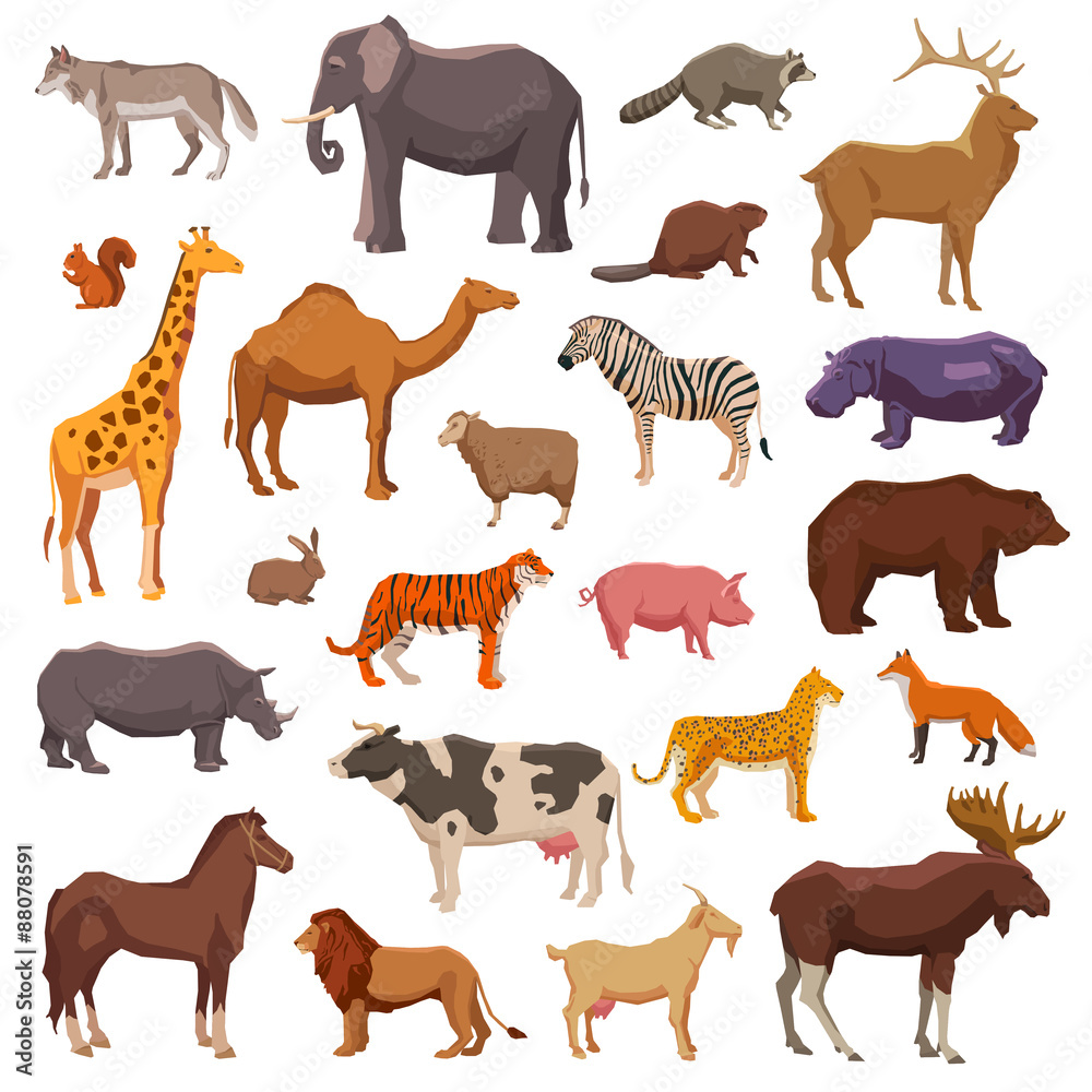 Fototapeta premium Big Animals Set