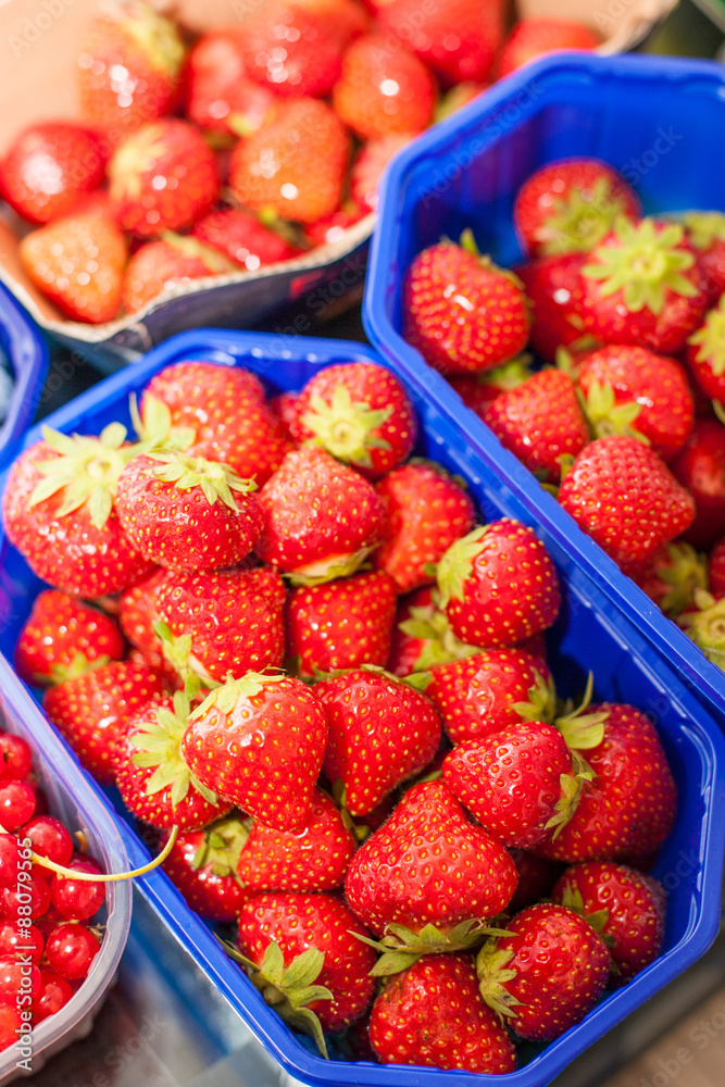 Frische Erdbeeren in Schalen Frische Erdbeeren in Schalen