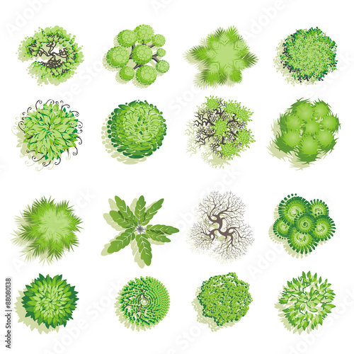 Trees and bush item top view for landscape design, vector icon.