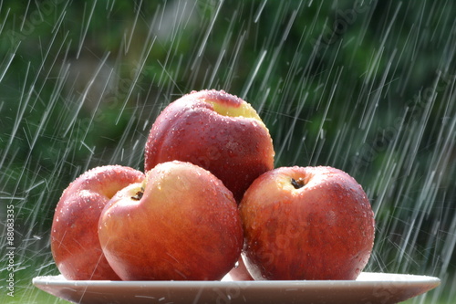 fruits in the rain