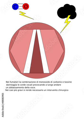 Campagna antifuno parte 5