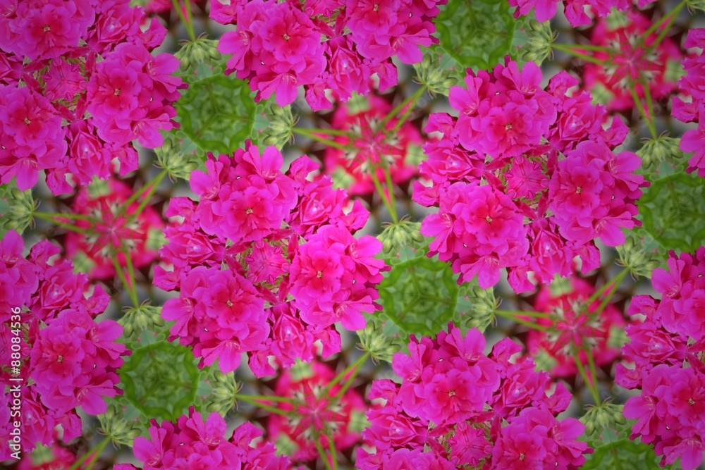 Obraz premium Цветочная клумба фэнтези. 1