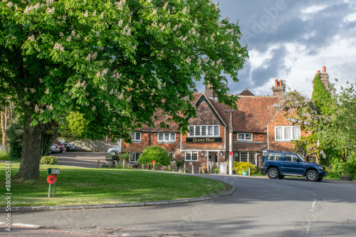 The village green at Sedlescombe © sixpixx