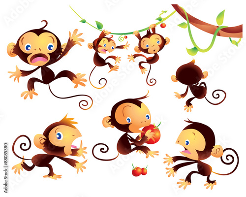cute monkey
