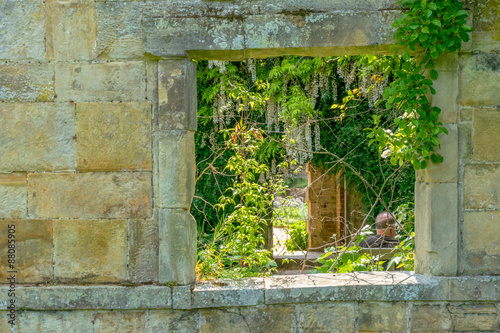 Window view in garden
