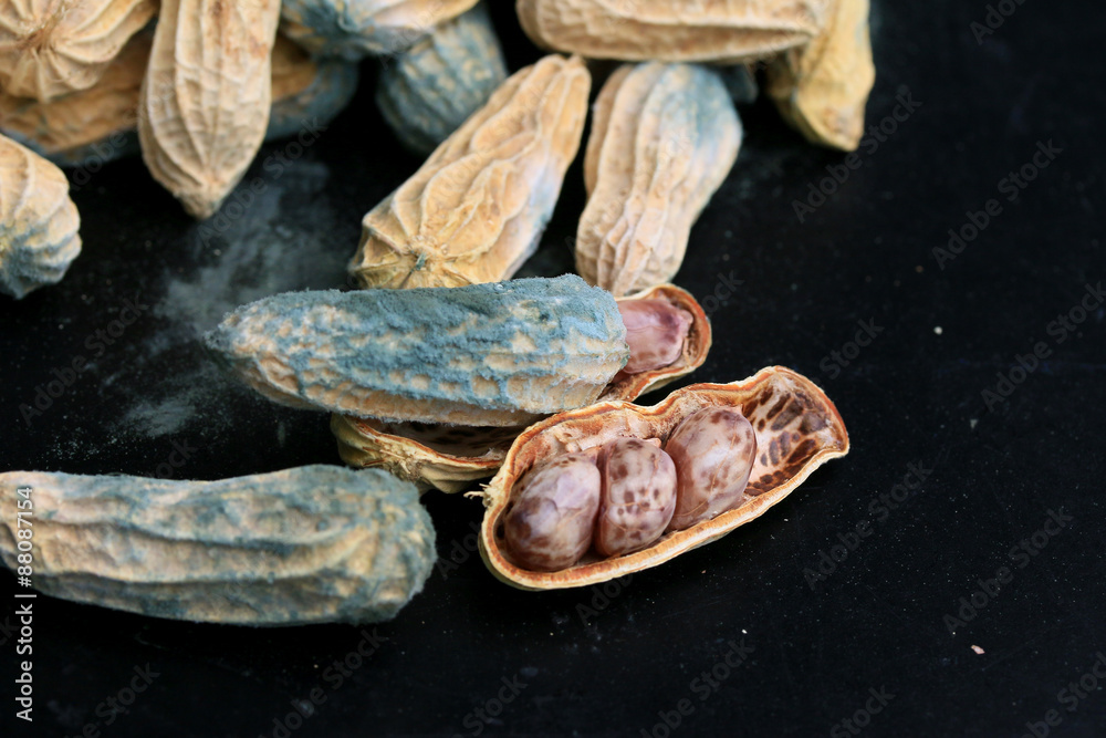 heap of moldy peanuts on a black background heap of moldy peanuts on a black background