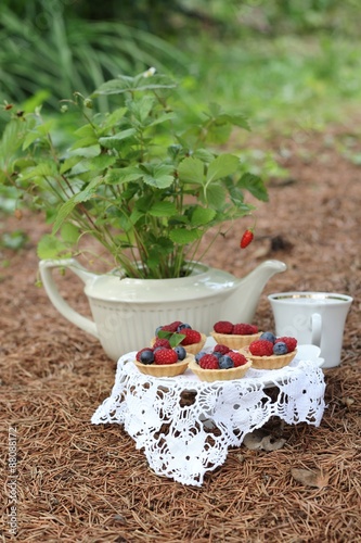 afternoon tea photo