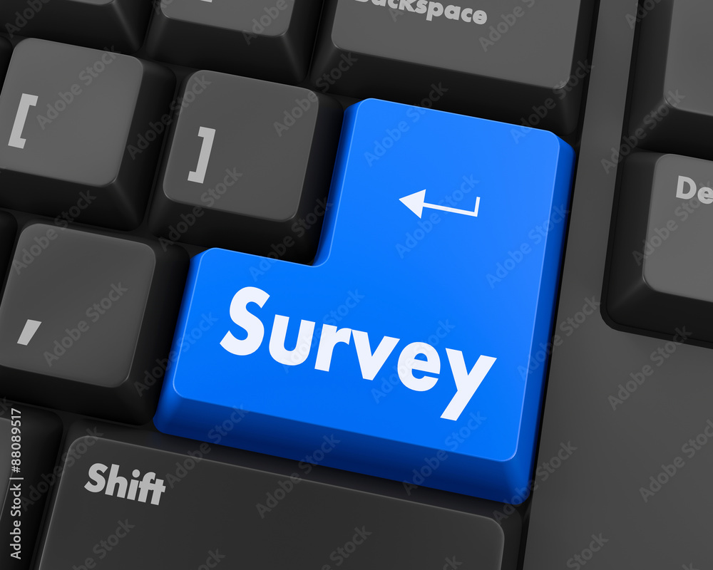 Fototapeta premium survey