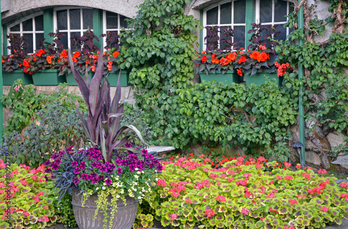 Fototapeta Naklejka Na Ścianę i Meble -  Colorful summer patio garden