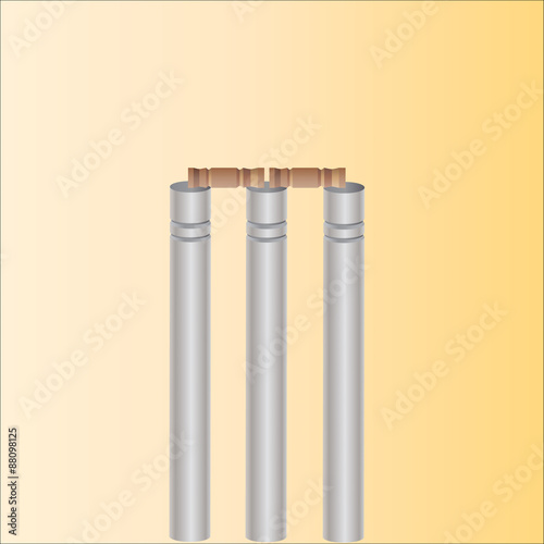 cricket wicket