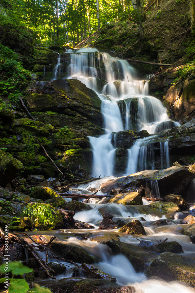 Fototapeta premium big waterfall in green forest