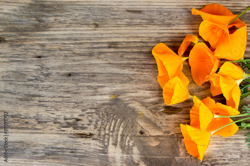 California poppy (Eschscholzia californica) orange flowers on a wooden with copy space photo