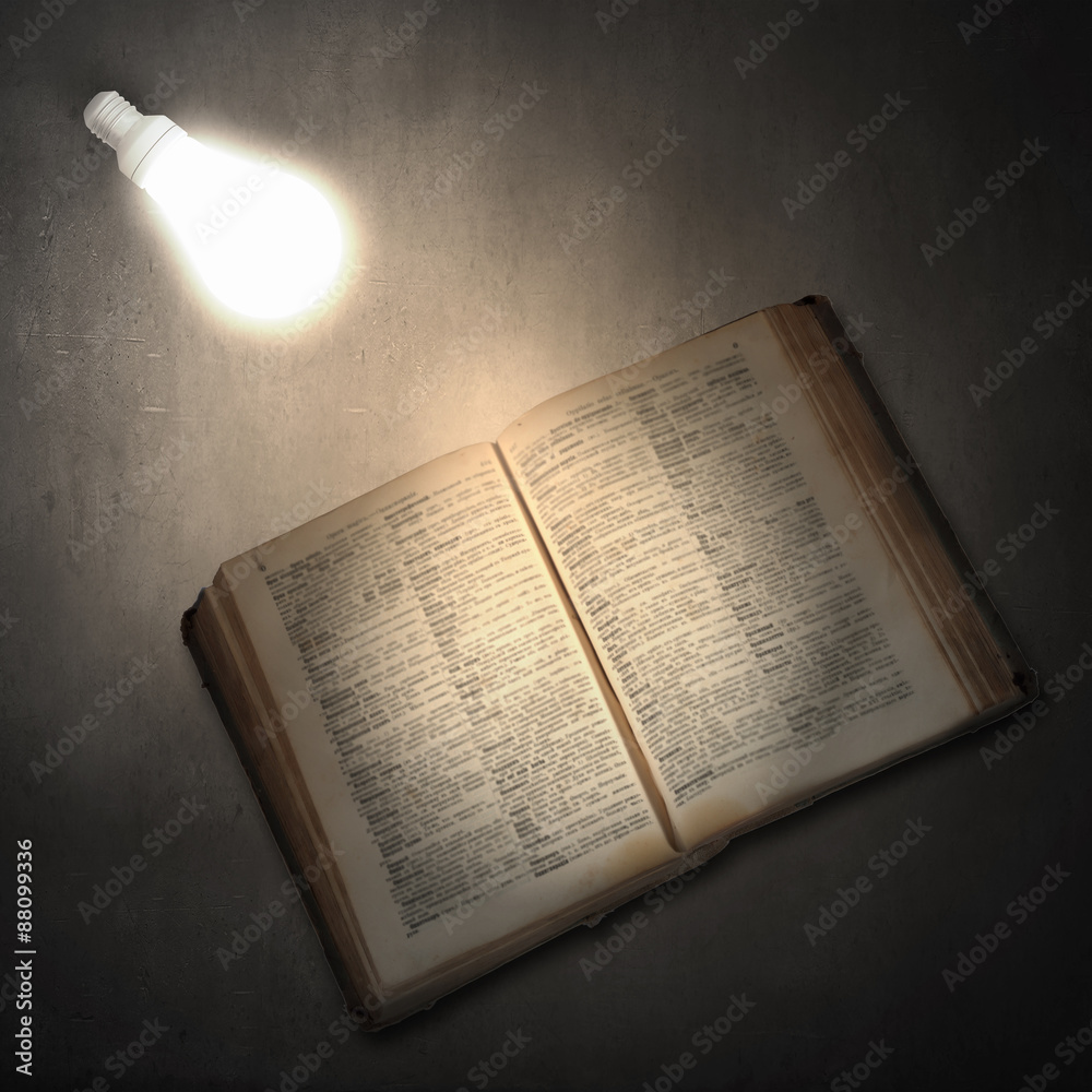Fototapeta premium Book and light bulb