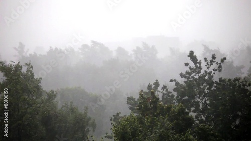Tropical rain storm in the city