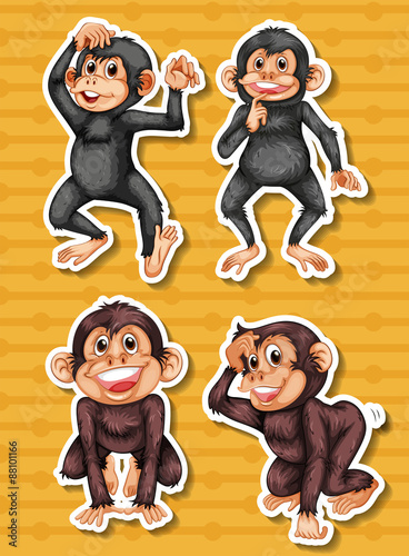 Stickers