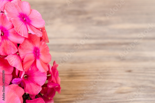 Fototapeta Naklejka Na Ścianę i Meble -  flowers phlox on wooden background with copy space