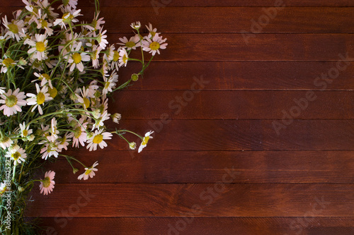 Bouquet of Garden Small Camomiles on Rustic Wooden background with copy space