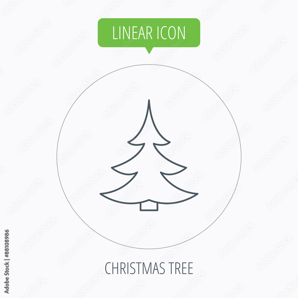 Christmas fir tree icon. Spruce sign.
