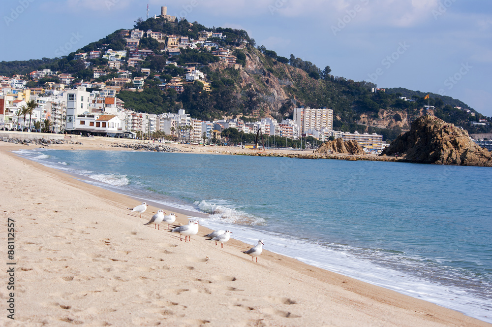 Landscape of Costa Brava in Blanes, Catalonia ,Spain. Landscape of Costa Brava in Blanes, Catalonia ,Spain.