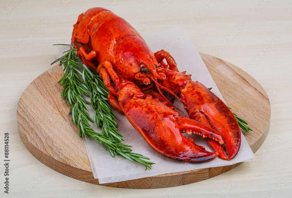 Lobster Lobster