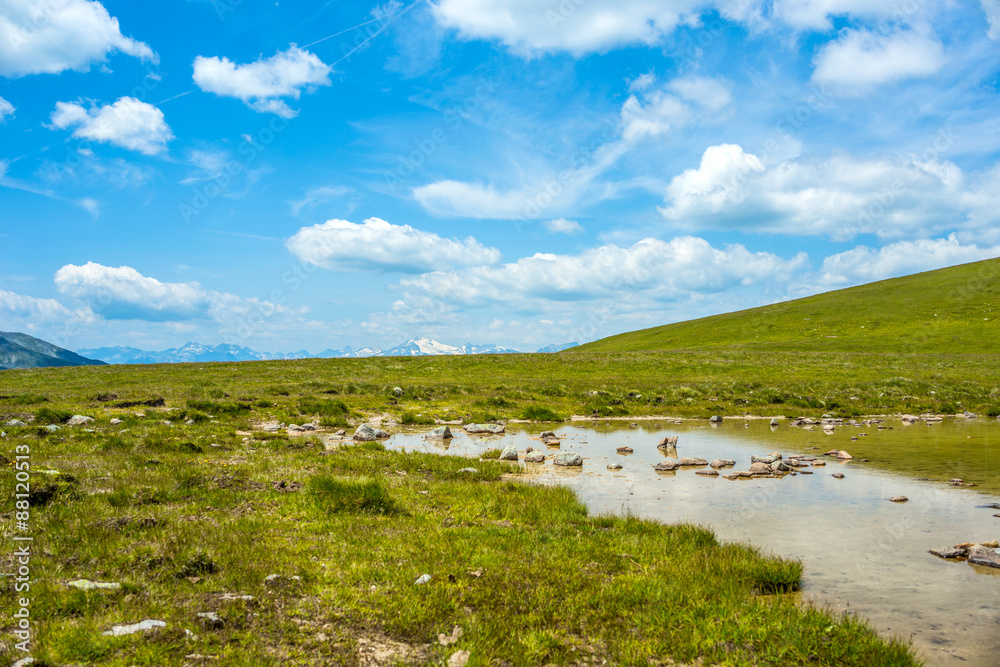 Small lake and green grass