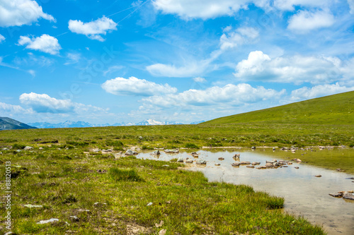 Small lake and green grass