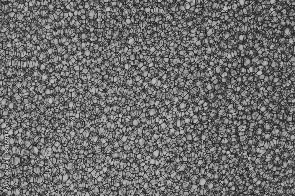 Fototapeta premium Background Of Sponge in Black and white color shot in studio