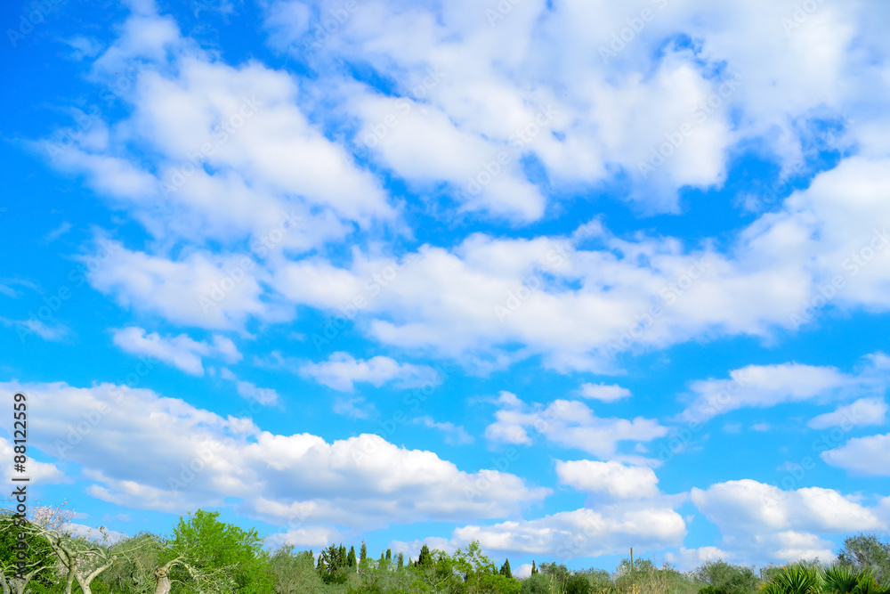 cloudy sky over green trees in the countryside cloudy sky over green trees in the countryside