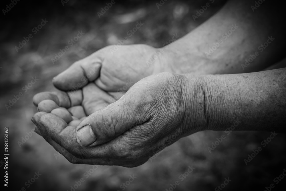 Fototapeta premium Hands