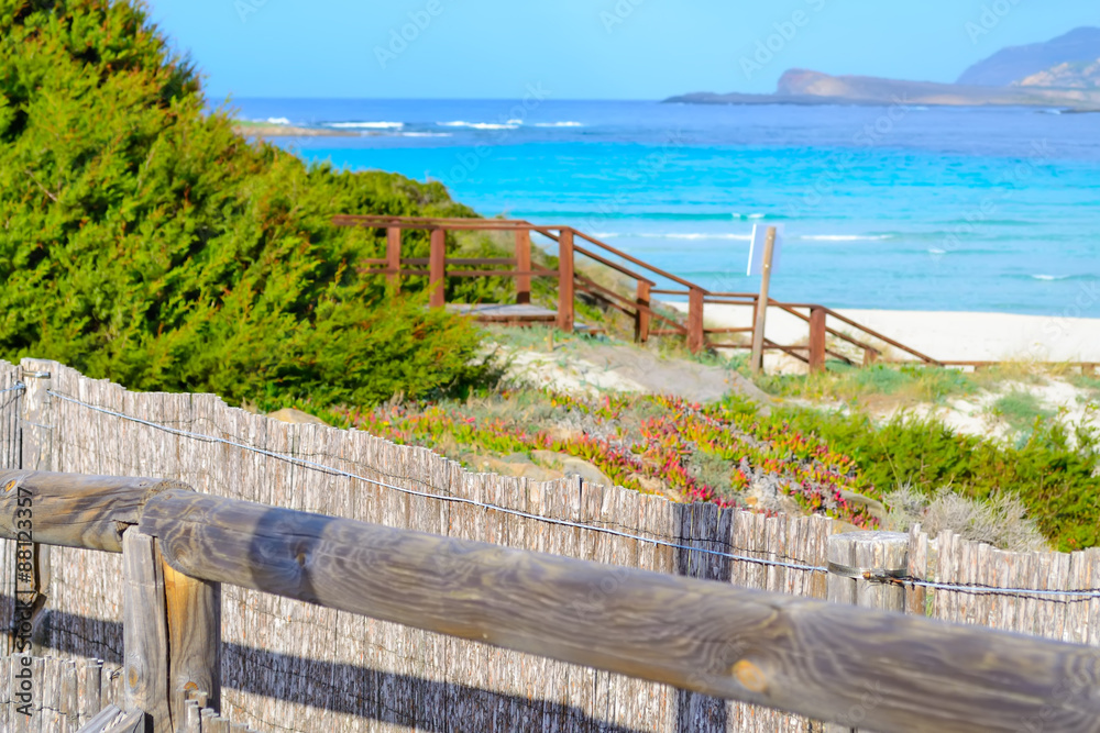 reed fence in La Pelosa beach in Stintino