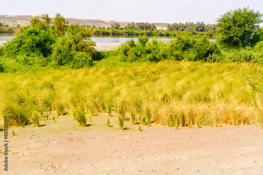 Landscape and the river Nile suth of Wadi Halfa in Sudan