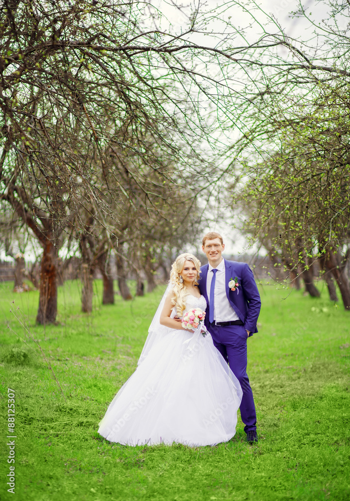 Wedding portrait of the bride and groom in the spring garden Wedding portrait of the bride and groom in the spring garden