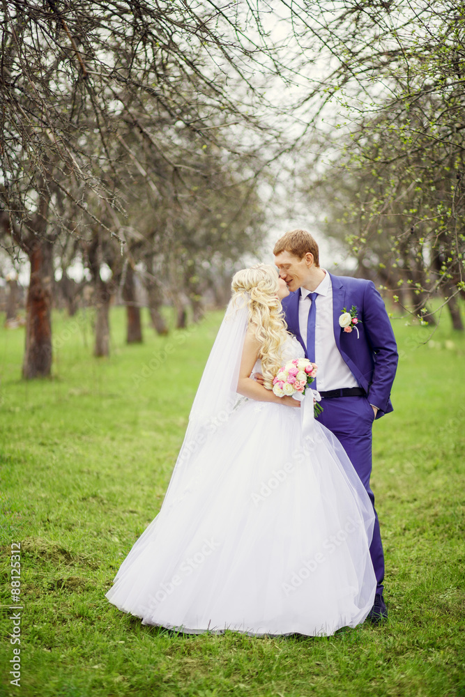 Wedding portrait of the bride and groom in the spring garden Wedding portrait of the bride and groom in the spring garden
