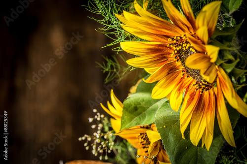 Fototapeta Naklejka Na Ścianę i Meble -  flowers yellow and red sunflower